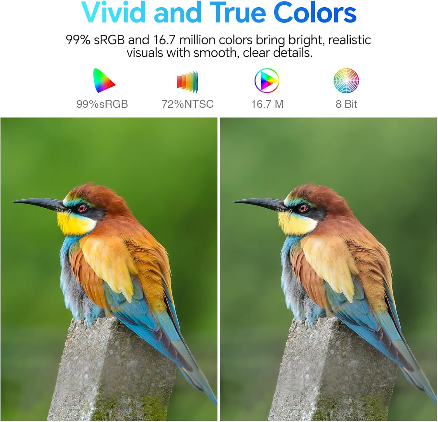 KOORUI E2412F 24-inch VA FHD 100Hz Business Monitor